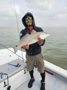 Cast into SPI Waters Tp Fish Redfish 